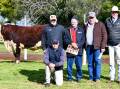 John Settree, Nutrien, Dubbo, Harrison (kneeling) and Neil Carlow, Kidman Poll Herefords, Matt Avery, Adelaide Hills, SA, and auctioneer Paul Dooley, Tamworth, with the top-priced bull, Kidman Pied Piper T062. Picture by Elka Devney