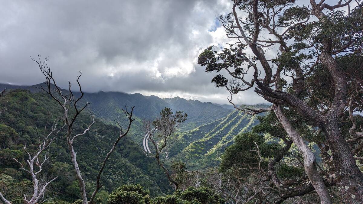 A spectacular view along the Aiea Loop trail in Honolulu. Pictures by Alex Morris
