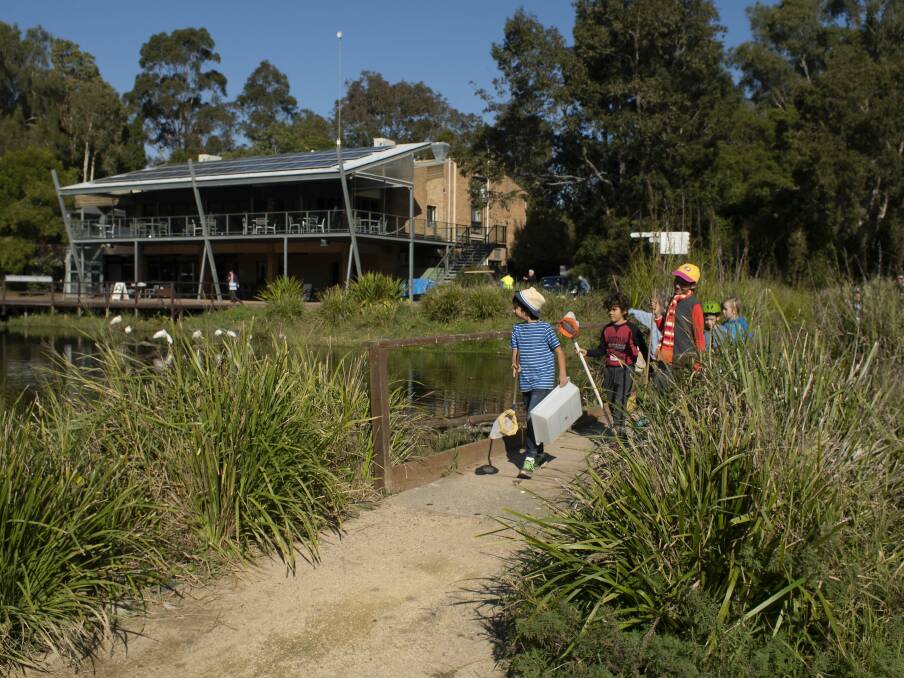 Try dip-netting at Hunter Wetlands Centre. 