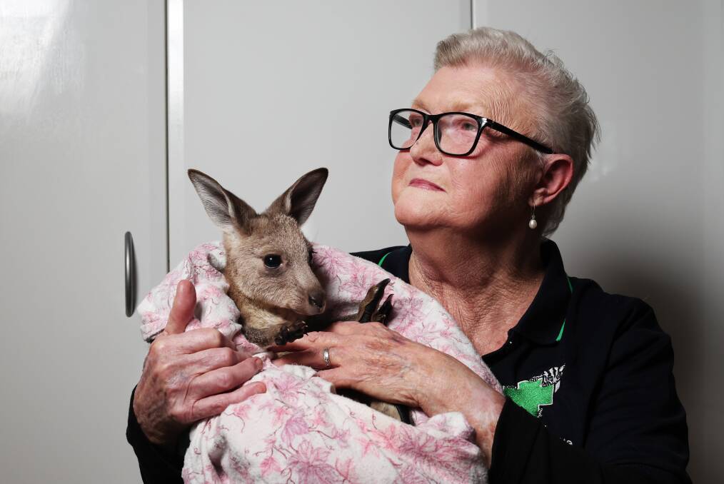 Audrey Koosmen says it's an honour to give animals a second chance. Picture by Simone De Peak