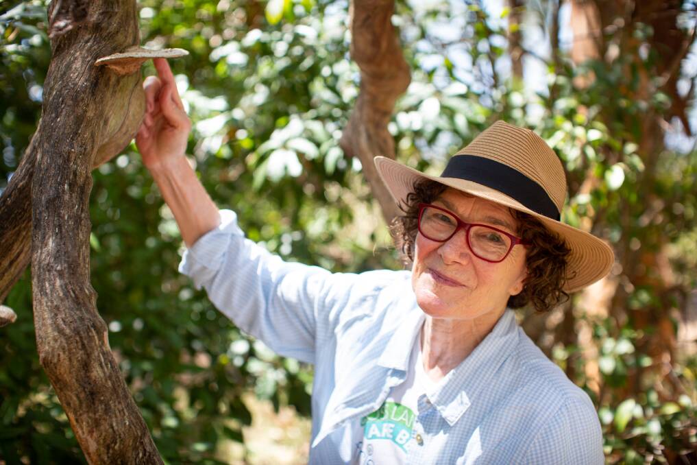 Pam O'Sullivan inspects a species of bracket fungi at Sunshine in Lake Macquarie. Picture supplied 