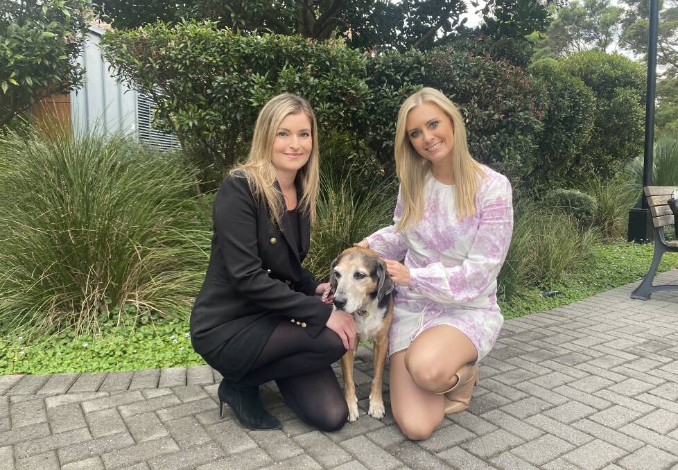 Animal Justice Party MP Emma Hurst (right) with Buddy, a medical research survivor, and Patrice Pandeleos who adopted the beagle-kelpie cross. Picture supplied 