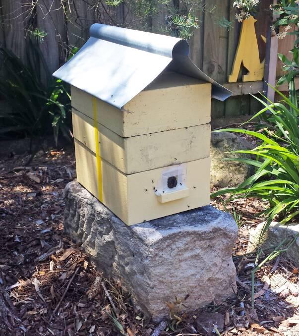 A native bee backyard hive. Researchers fear these bees could be attracted to poisoned hives in the bush. Picture by Tim Heard 