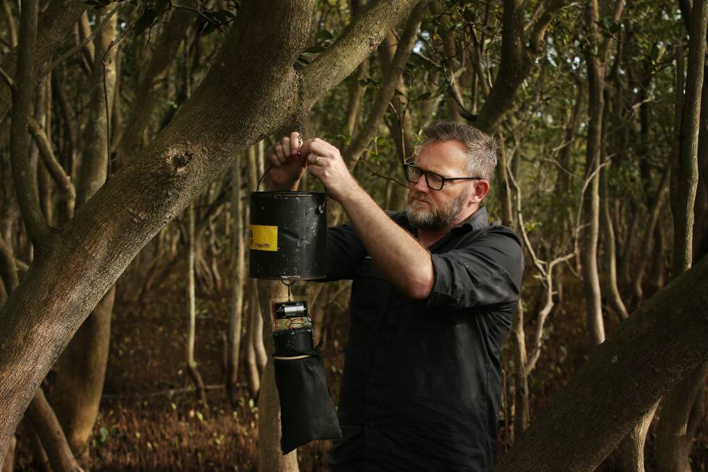 Dr Cameron Webb setting a mosquito trap in the Hunter Estuary. Picture by Simone De Peak 