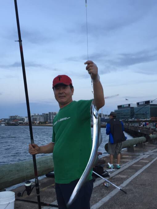 LIVEWIRE: Hong Jang, of Campsie, in Sydney, with one of the many hairtail pulled in from Throsby Wharf on Sunday evening.