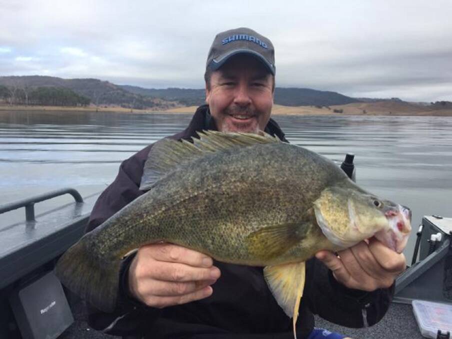 FISH OF THE WEEK: Glen Hepplewhite wins the Jarvis Walker tacklebox and Tsunami lure pack for this PB yellowbelly caught and released last Saturday at Glenbawn Dam.