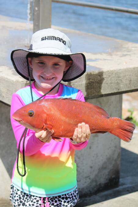 FISH OF THE WEEK: Eva Guy wins the Jarvis Walker tacklebox and Tsunami lure pack for the is groper hooked in Lake Macquarie recently.