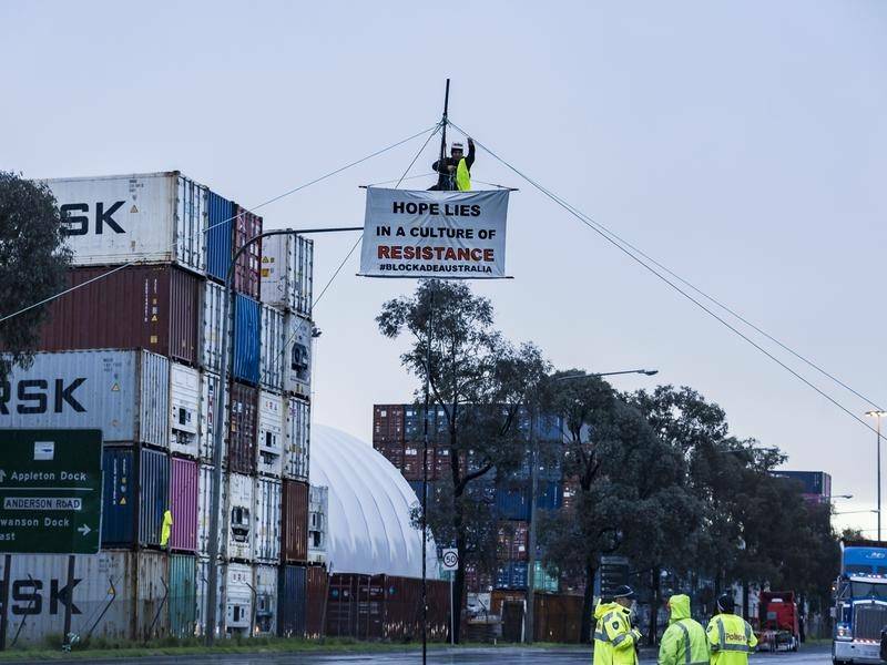 Blockade Australia protesters have staged actions at three coal ports over the last three days. 