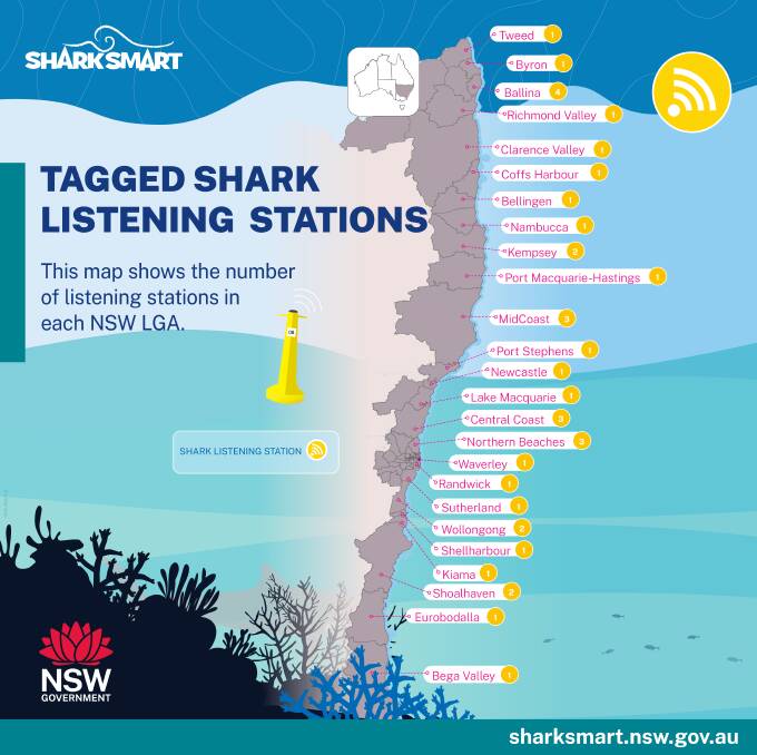 Hunt for missing shark tag buried at Stockton beach