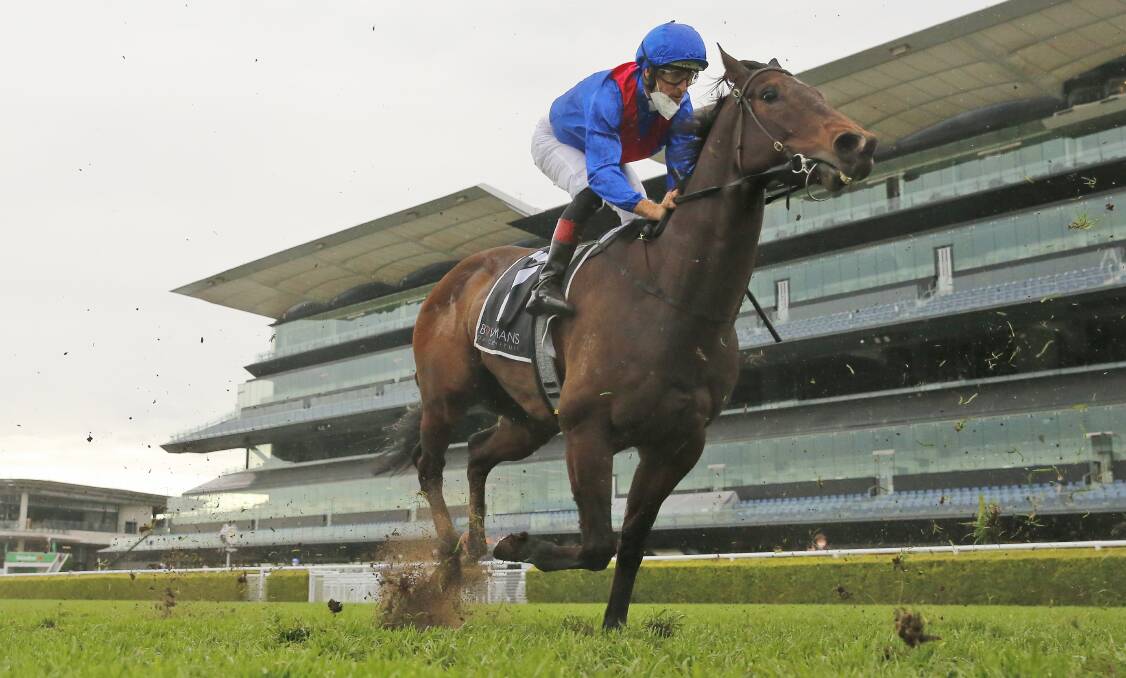 FAVOURITE: Lost and Running has been given top weight of 59 kilograms for the $1m The Hunter at the Newcastle Jockey Club on Saturday. Picture: Getty Images