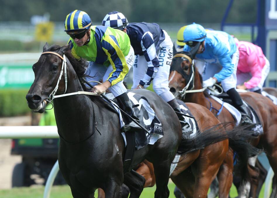BACK IN TOWN: The Kris Lees-trained Dal Cielo, with jockey Glyn Schofield, winning at Randwick racecourse this time last year. Schofield will be aboard Dal Cielo again when he resumes from barrier five on Saturday at Warwick Farm. Picture: Bradleyphotos.com.au