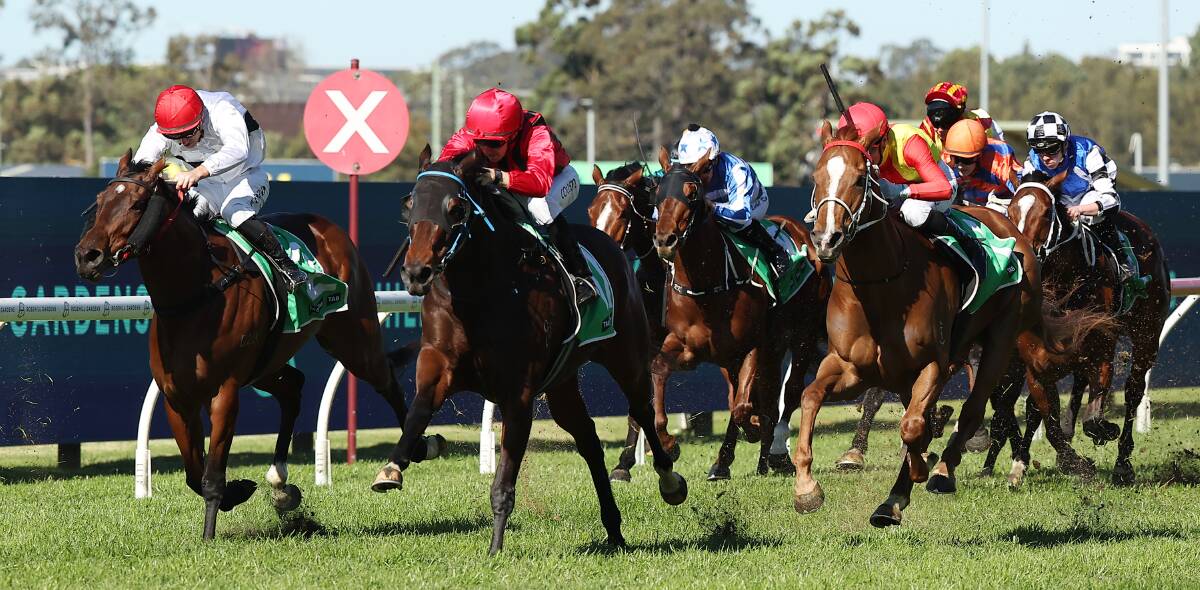 Lonhro's Queen carrying the red and black Gooree Stud silks to victory at Rosehill on Saturday. Picture by Jeremy Ng, Getty Images