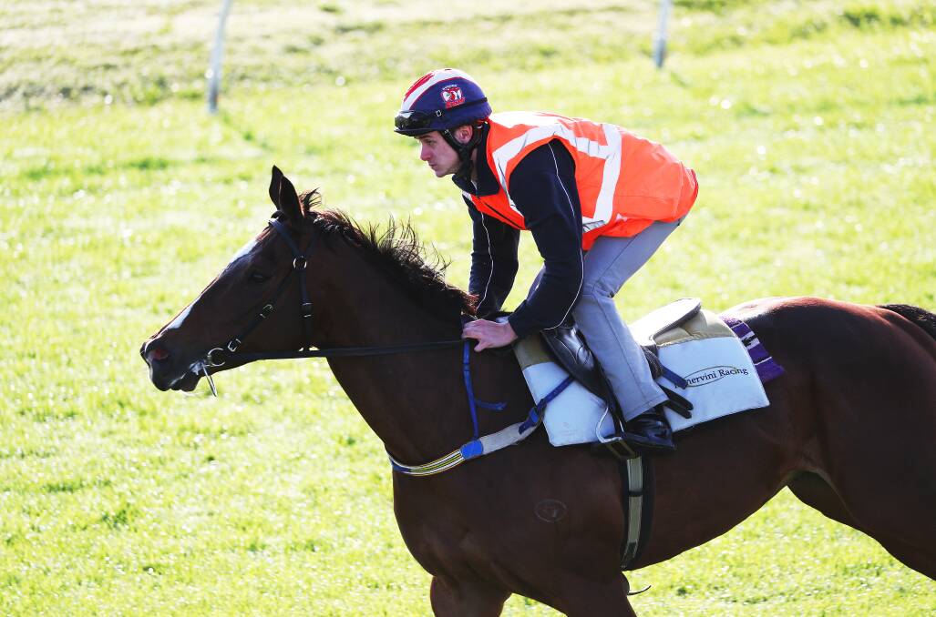 Lachlan Scorse riding trackwork at Newcastle in September. Picture by Peter Lorimer