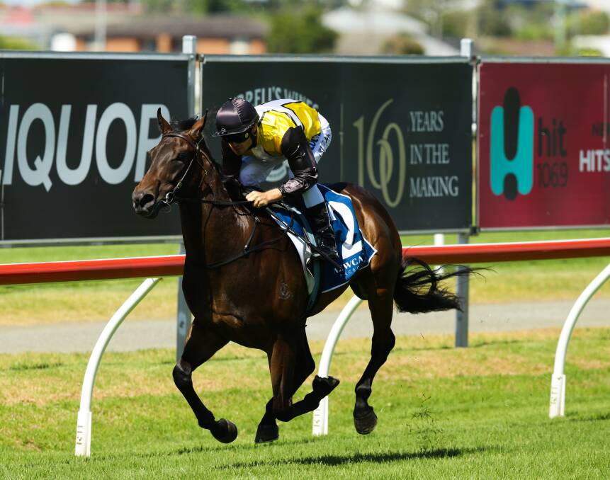 LUCKY: Newcastle trained and owned colt Jonker winning the inaugural Max Lees Classic in December. Picture: Jonathan Carroll