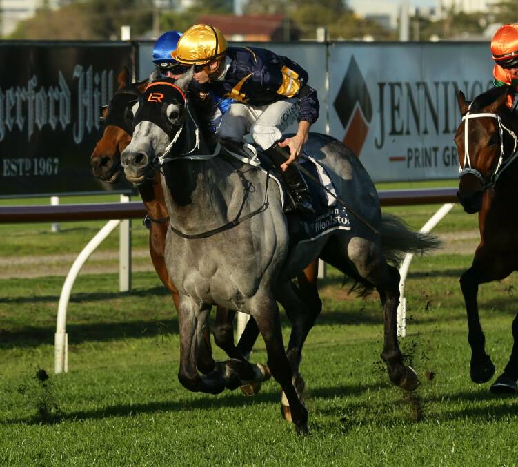 Kris Lees-trained Luncies will contest the group 3 Bendigo Cup on Wednesday.