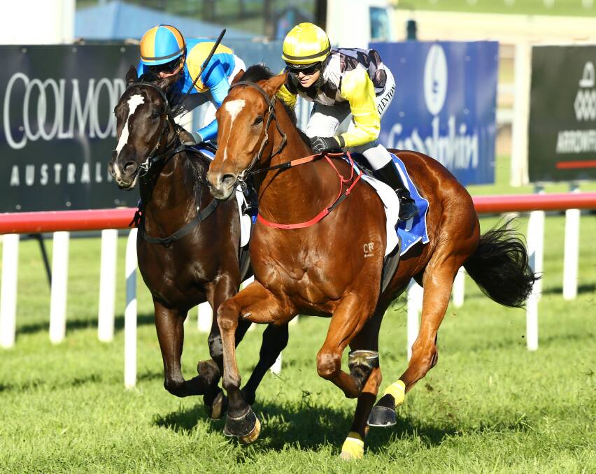 Clearly Innocent winning the Luskin Star Stakes in 2016. Picture: bradleyphotos.com.au