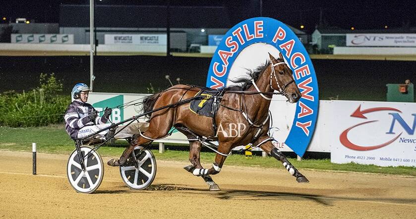 CLASS ABOVE: Majordan wins the Ross Gigg Newcastle Mile. Picture: Ashlea Brennan
