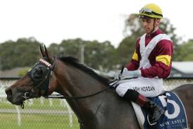 Newcastle jockey Ash Morgan is two wins away from a second NSW premiership. Picture by Simone De Peak