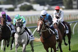 Newcastle club keen for more city racing on all-weather track