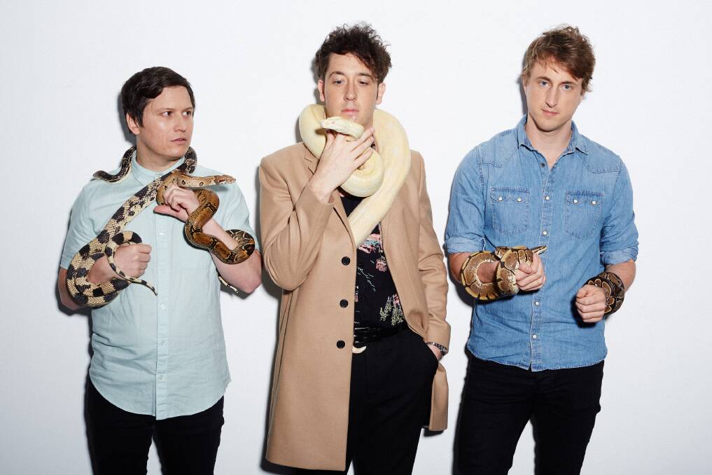 LITTLE CRITTERS: English pop-rockers The Wombats return to the Hunter Valley on Saturday to headline new festival Grapevine Gathering at Roche Estate. 