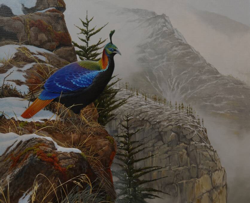 Peter Marsack's painting of the monal. Picture by Simone De Peak