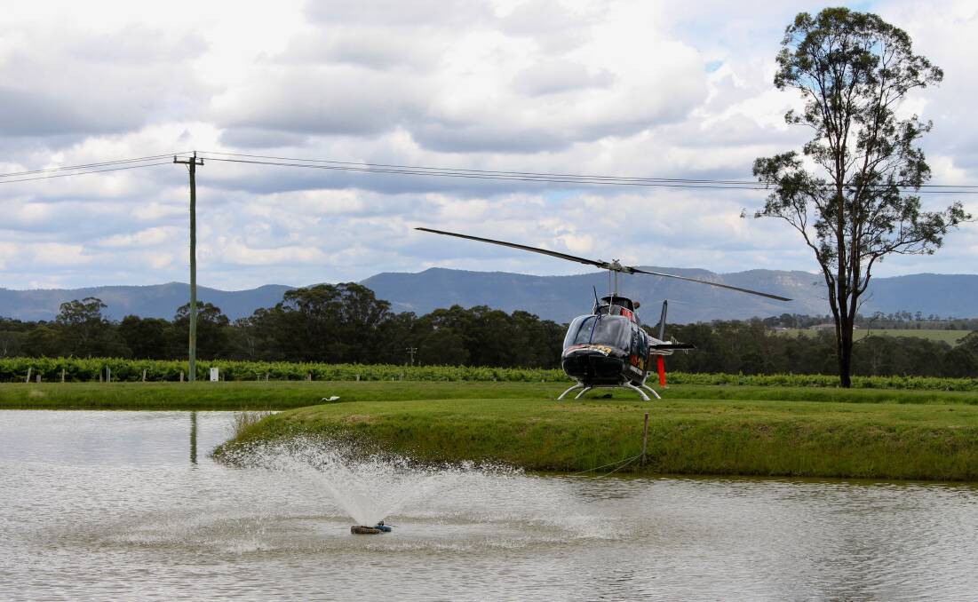 SOLID FOOTING: Our flight landed at Tatler Wines' dam.