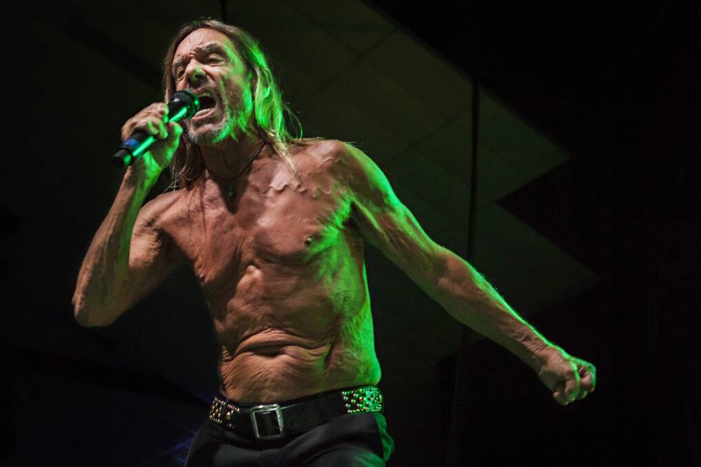 RAGING: Even at 72 Iggy Pop still possesses a punk heart, despite the jazz and electronic sounds of Free. Picture: Tameika Brumby