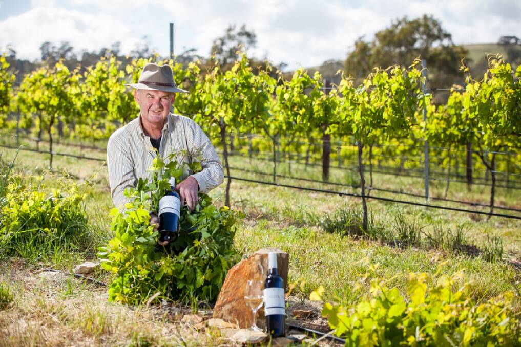 KOULARA METHOD: Peter Barry with one of the woven-basket assyrtiko vines in his Clare Valley vineyards.