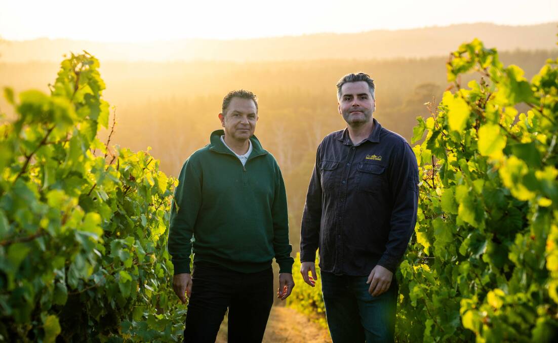 Pipers Brook chief winemaker Luke Whittle (right) with viticulturist and vineyard manager Luciano Caravia.