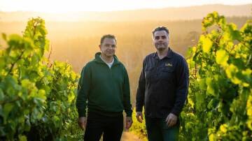 Pipers Brook chief winemaker Luke Whittle (right) with viticulturist and vineyard manager Luciano Caravia.