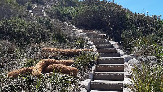 Recently completed steps on the Iris Moore to Fishermans Bay section of the walk.