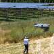 A man in a paddock surveys nearby solar panels. Picture by Sitthixay Ditthavong