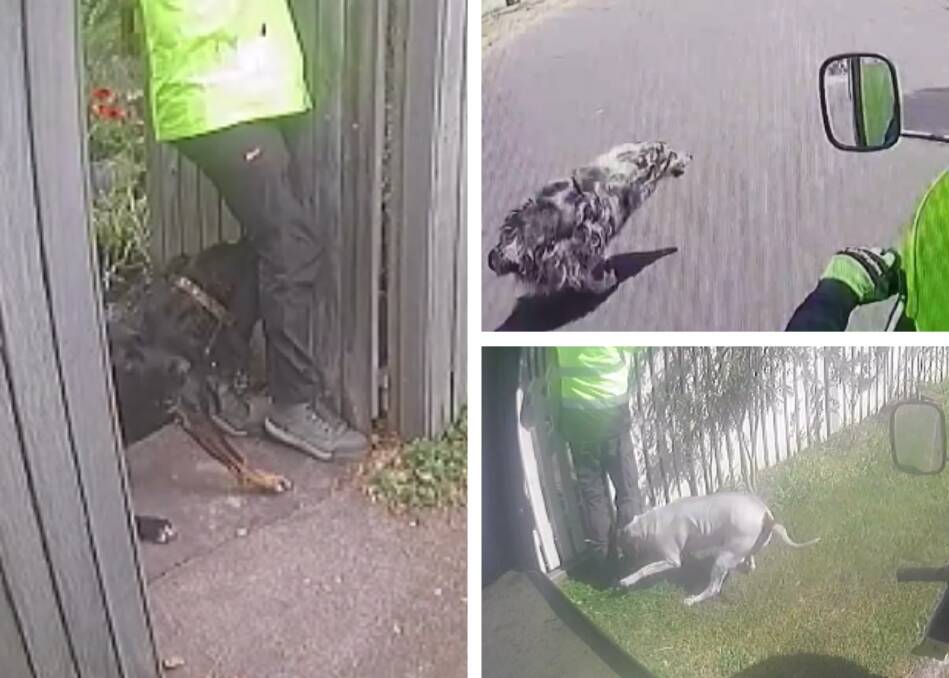 Pictures from a video compiled after a sharp spike in dog attacks on posties in November 2023. Video by AAP