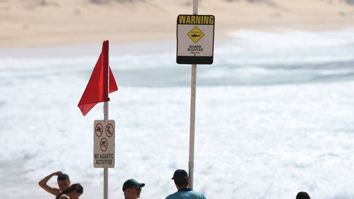 Beaches have been closed for shark sightings in the past days. Picture by Peter Lorimer