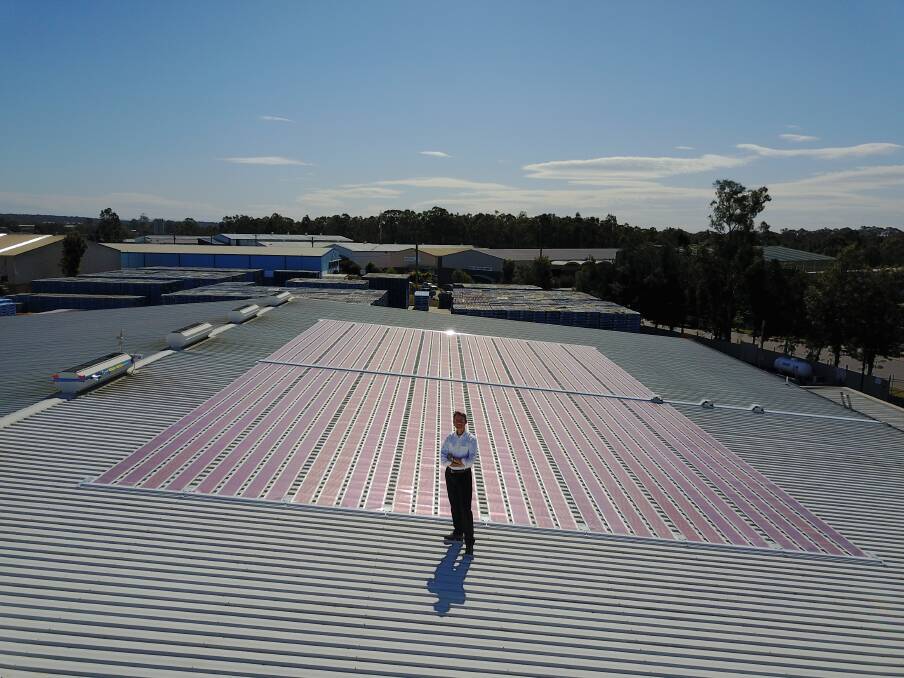 POWERED: Professor Paul Dastoor with the ultra-thin solar cells installed on the rooftop of Beresfield-based logistics company CHEP.