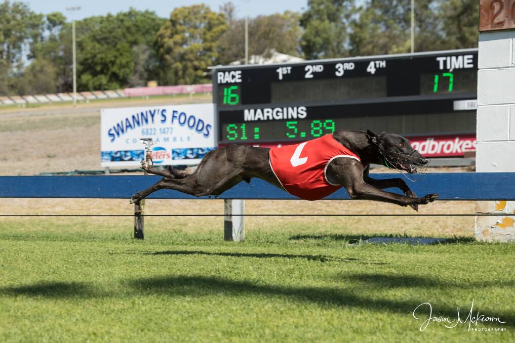 Action from Coonamble on the October long weekend. Photo Jason McKeown.