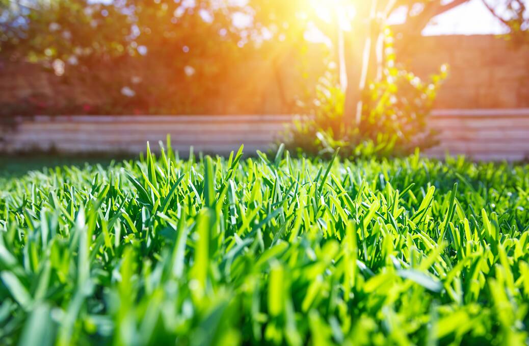 LAWN CARE: Don’t let your lawns get too long but don't cut them too short either. Among other things, getting the right length will help the soil retain moisture.