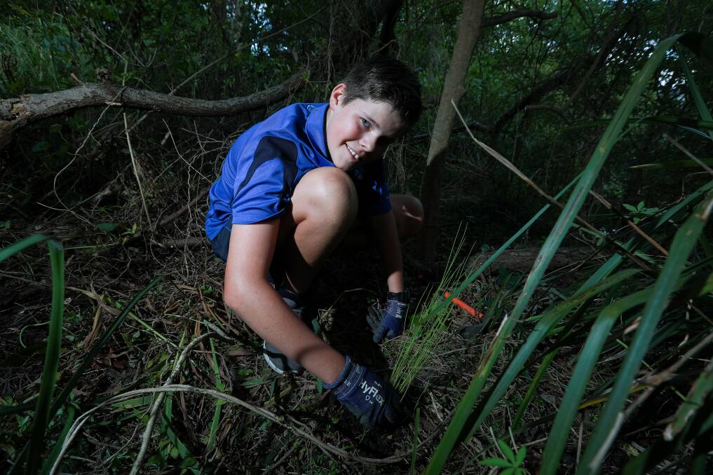 St Mary's Catholic College Year 7 student Elijah Munster planting along the creek bed. Picture supplied