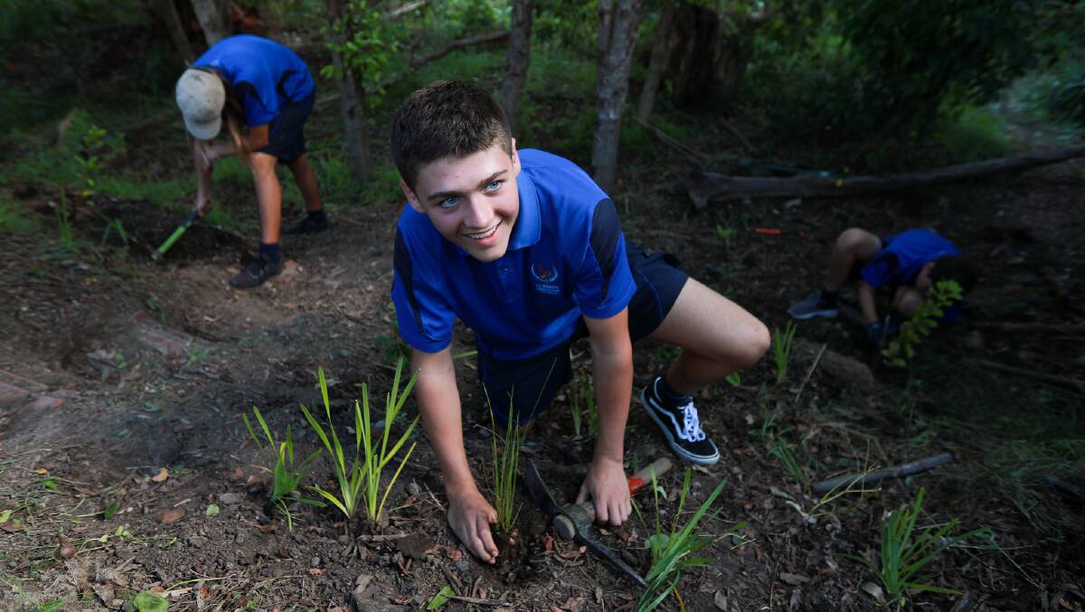 St Mary's Year 10 student Jasper Groenendijk working on the creek rehab project. Picture supplied 
