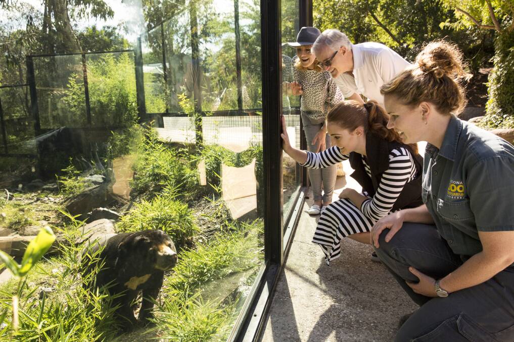 The zoo tour and encounters with a specialised tour guide are unique for guests of the lodge. Picture Jamala Wildlife Lodge