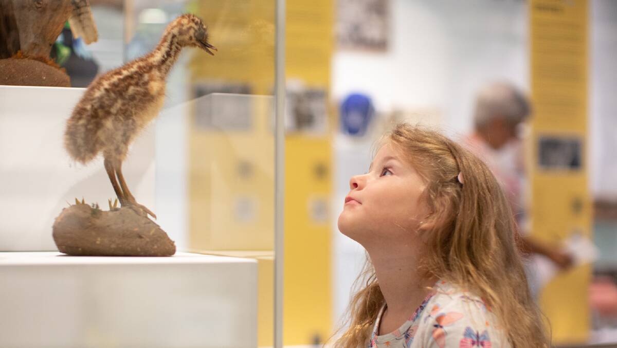 Hollie May Peterson, 3, checks out the new museum's exhibits. Picture supplied