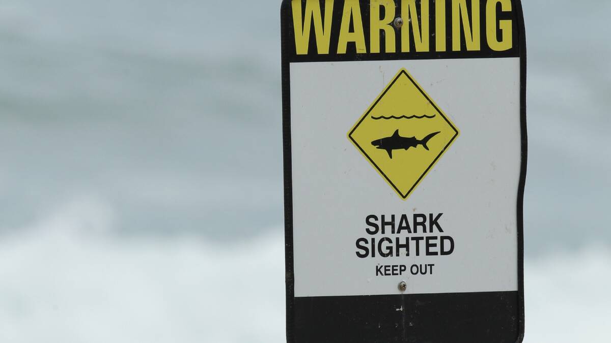 Shark sighting shuts Entrance beach