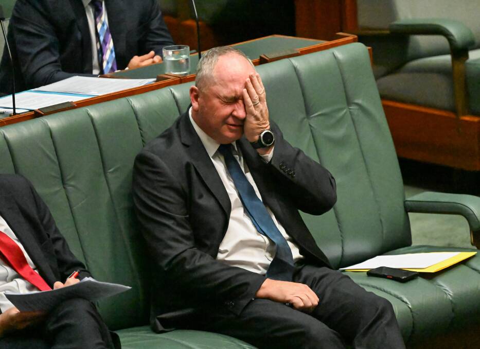 Barnaby Joyce in parliament this week. Picture by Elena Kurtz