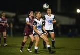 Maitland striker Bronte Peel, pictured in 2022, is leading the race for NPLW golden boot. Picture by Marina Neil