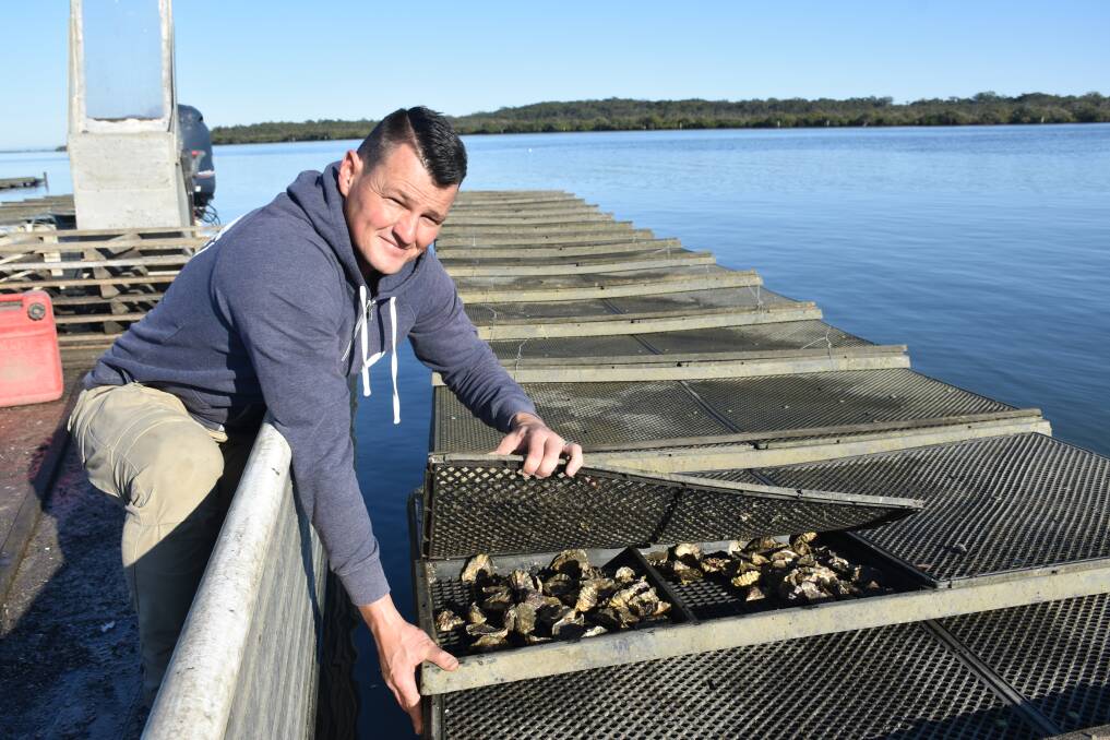 CHECKING ON THE GOODS: Port Stephens oyster grower Matt Burgoyne at one of his oyster farms on Tilligerry Creek. Mr Burgoyne's XL Oysters will be one of many locals oyster businesses at the festival. Picture: Max McKinney