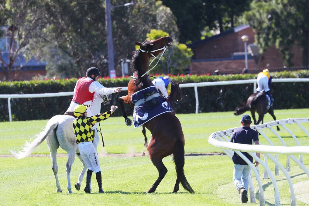 Josh Parr is dislodged from Influential at the race meeting at Broadmeadow Racecourse on Saturday. Picture by Peter Lorimer 