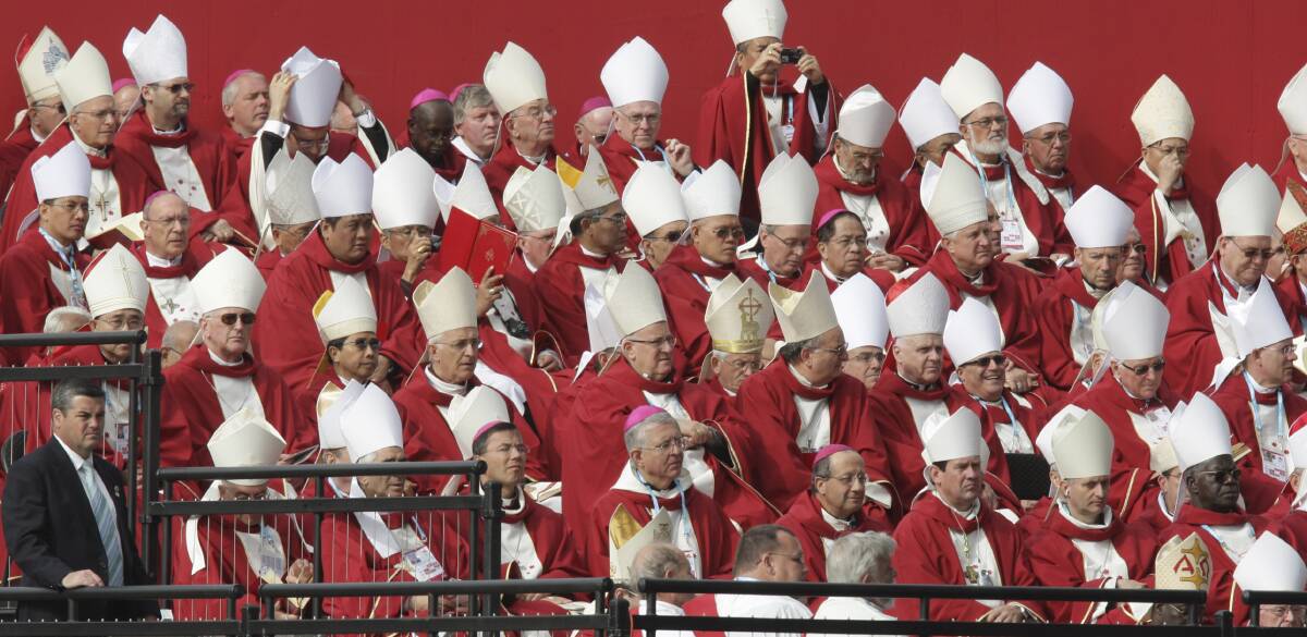 mus Brokke sig Komedieserie Australian Catholic bishops must lead 'urgent delegation' to see Pope  Francis, say church reformers | Newcastle Herald | Newcastle, NSW