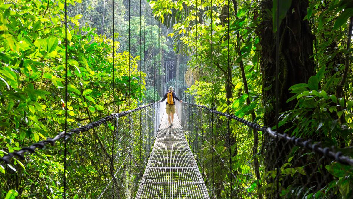 The Hanging Bridges of Monteverde Cloud Forest in Costa Rica. Picture supplied