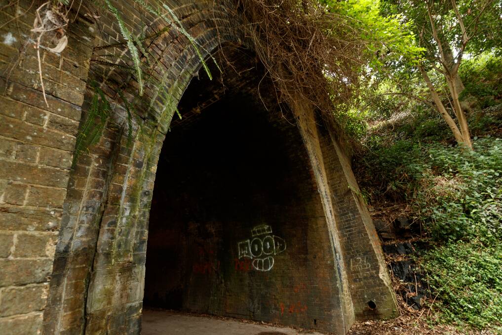 The northern entrance to the Fernleigh Track's tunnel. Picture: Max Mason-Hubers