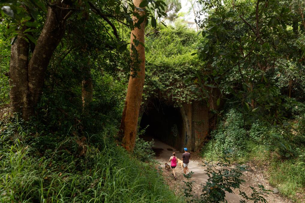The northern entrance to the tunnel on the Fernleigh Track. Picture: Max Mason-Hubers 